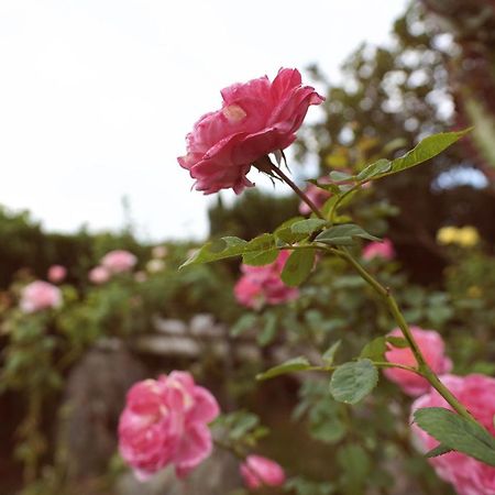 Taitung City-Cottage B&B Экстерьер фото