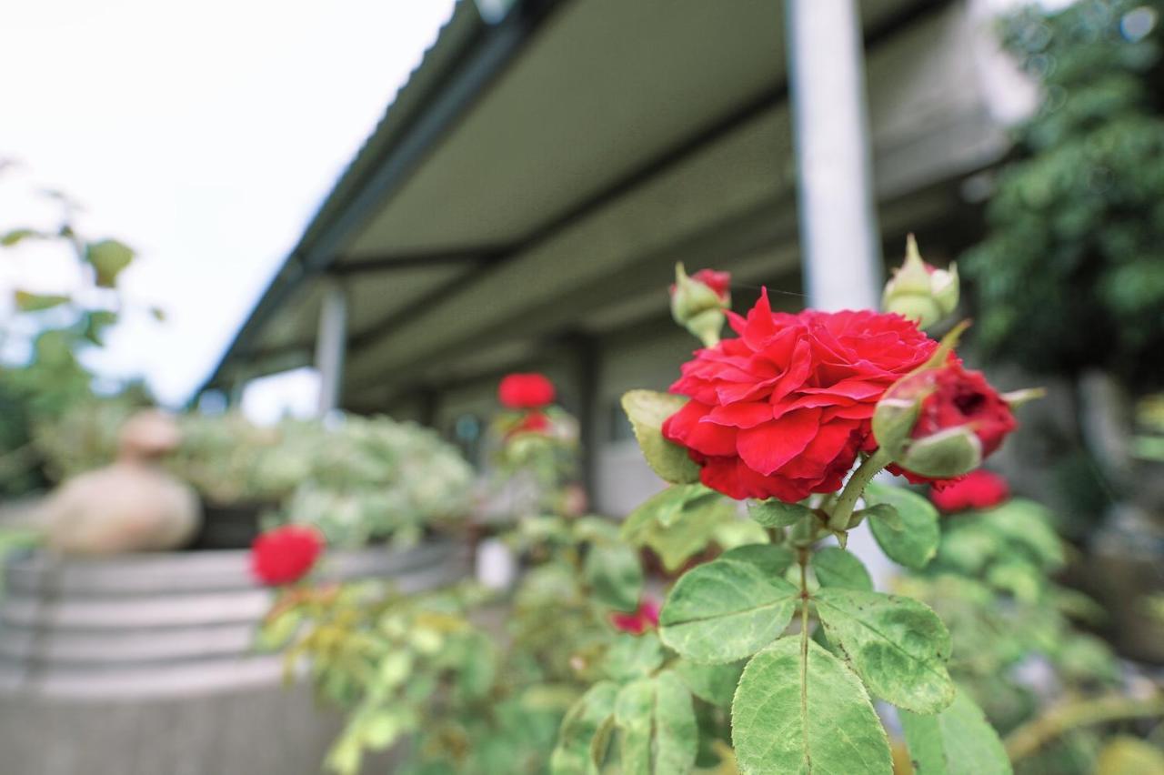 Taitung City-Cottage B&B Экстерьер фото